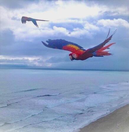Coloso Del Mar Zancudo Buitenkant foto