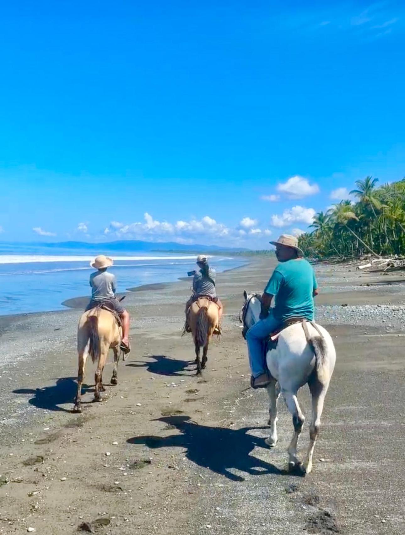 Coloso Del Mar Zancudo Buitenkant foto